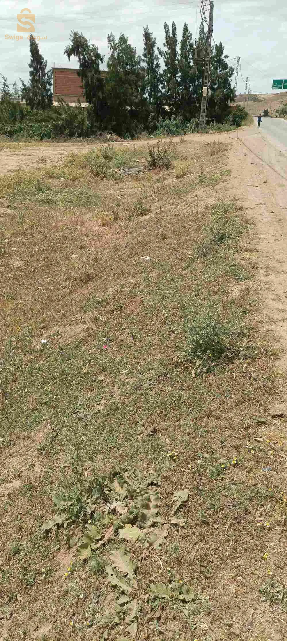 ارض للبيع