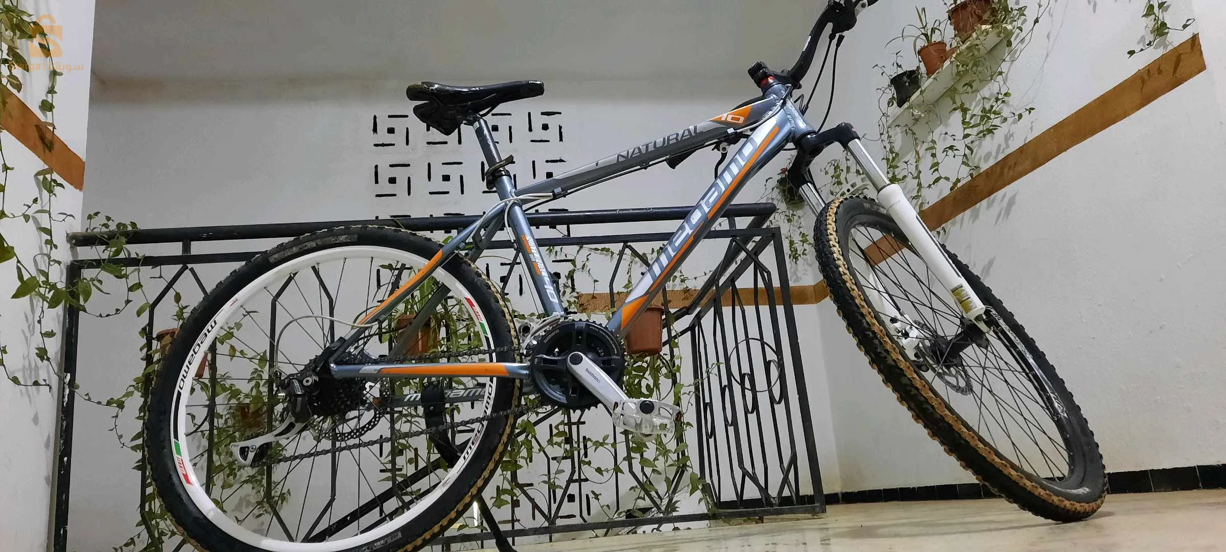 ✨️✨️✨️✨️✨️✨️✨️💪💪💪💪💪💪💪
  خاوتي لعزاز هايليكم جديدفيلو جديدة هيدروليك natural meogmo فيلو جديدة وكادر نقي وكلارة تاعها اوريجينال وطاي L