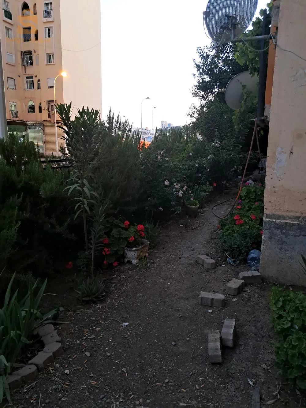 شقة للبيع طابق أرضي0556971012
