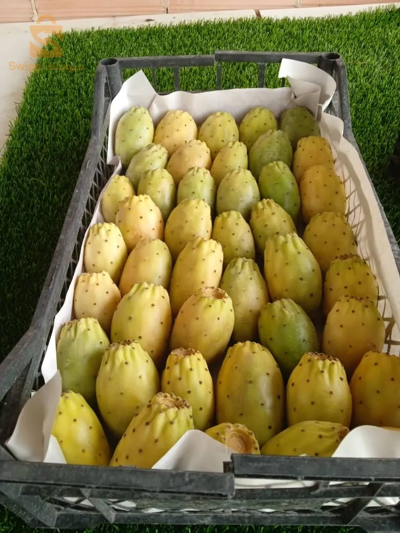 زيت بذور التين الشوكي من المؤسسة الحرفية الياقوت للزيوت الطبيعية ، معصور على البارد صافي من الشوائب نقي طبيعي ، منتج من بذور جد نقية لون أصفر قاتم مفيد للوجه و للشرب