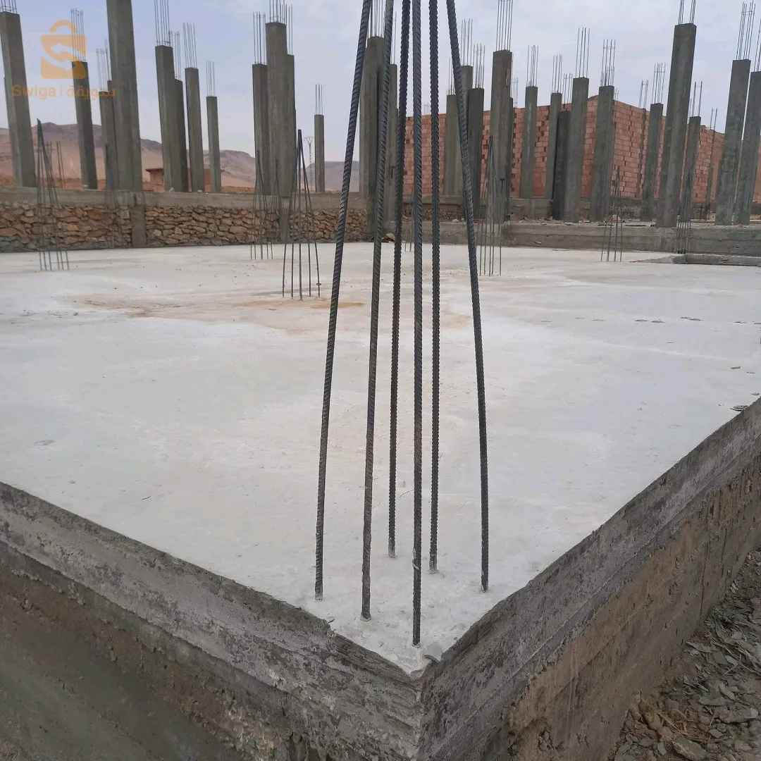 ولاية بسكرة تجزئة 3682قطعة طريق باتنة