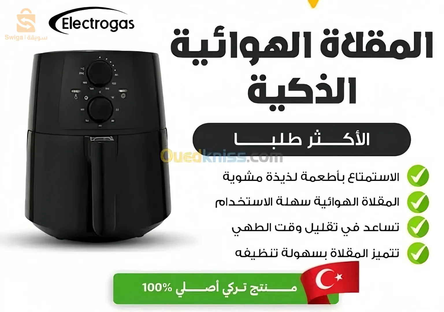 electrogas fast fryer