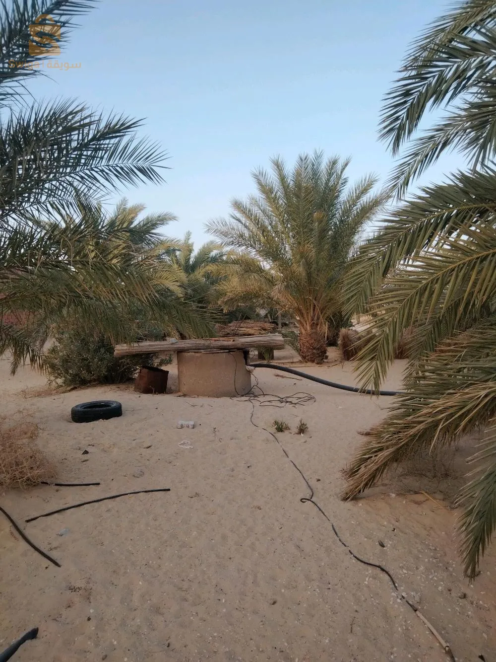 مزرعة للبيع