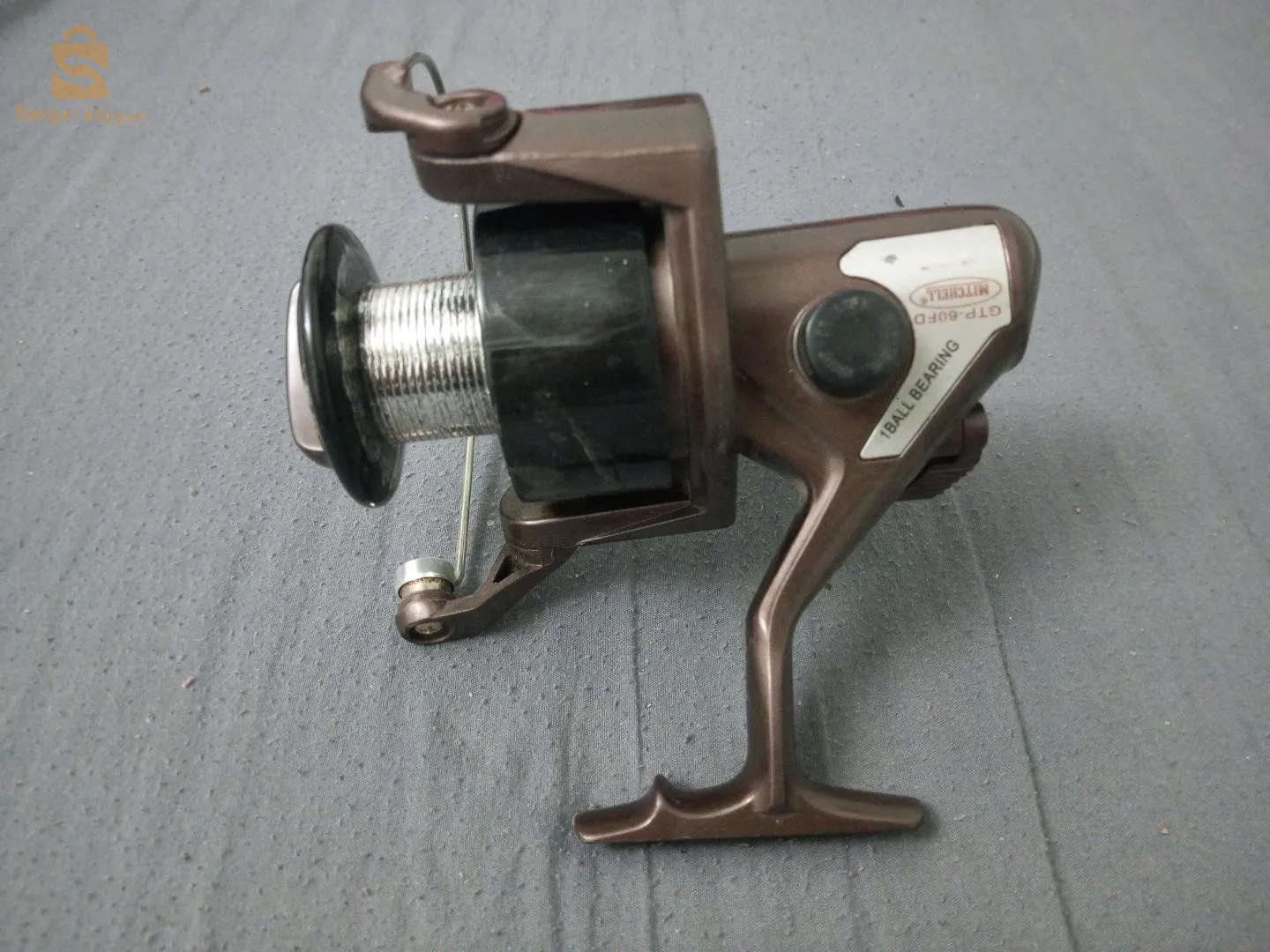 موليني ميتشال