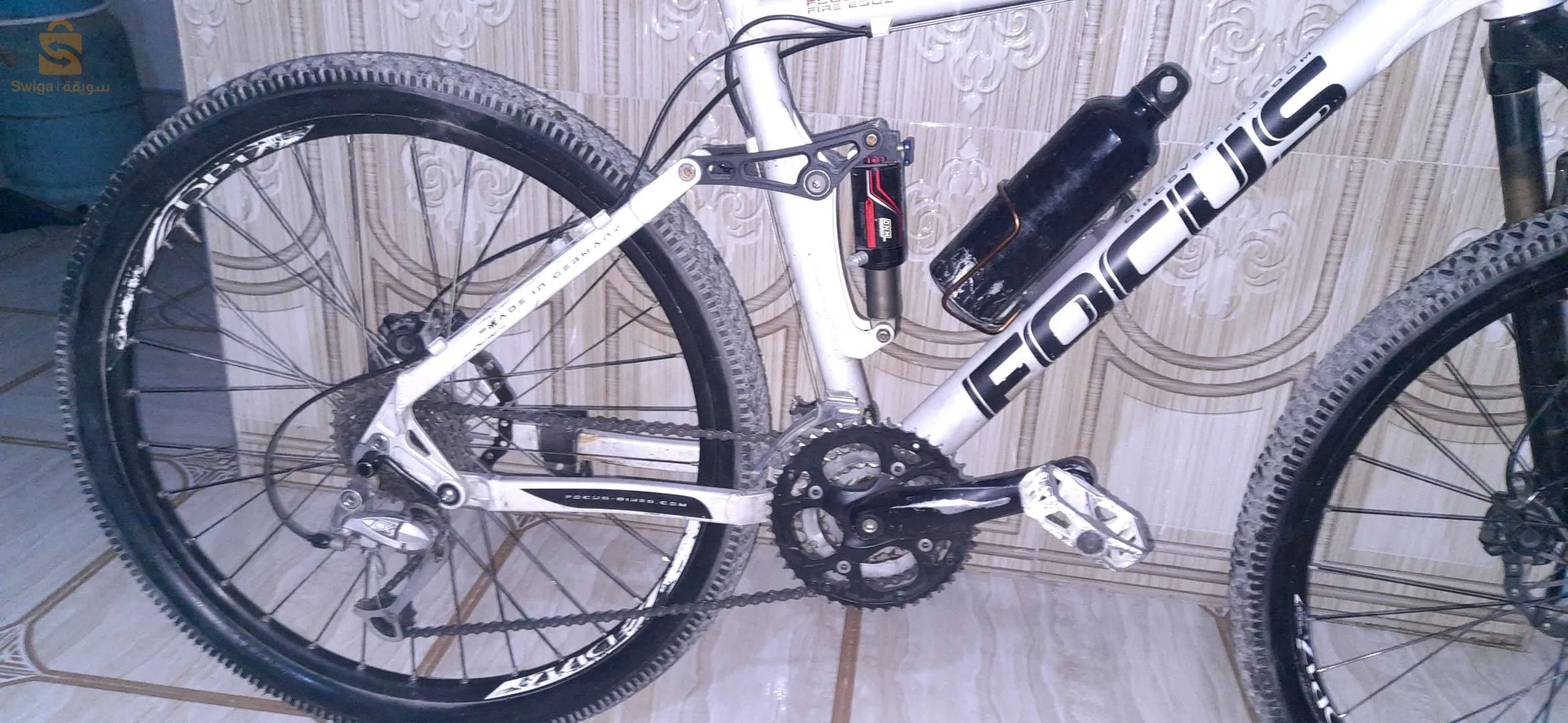 الجزائر بير توتة