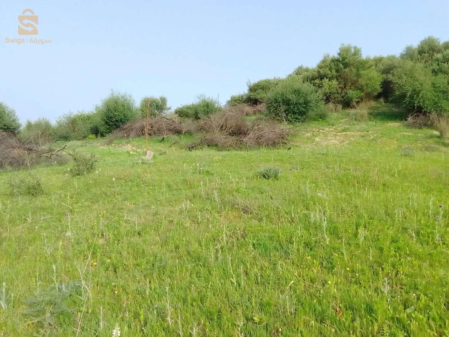 vente Terrain Tirsatine