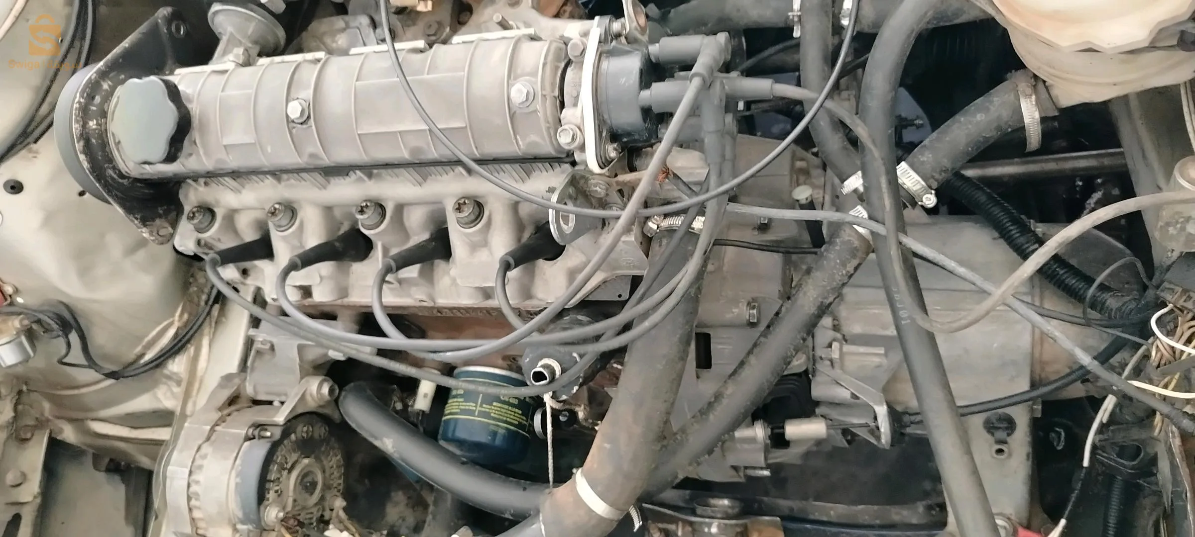 تمشي الله يبارك