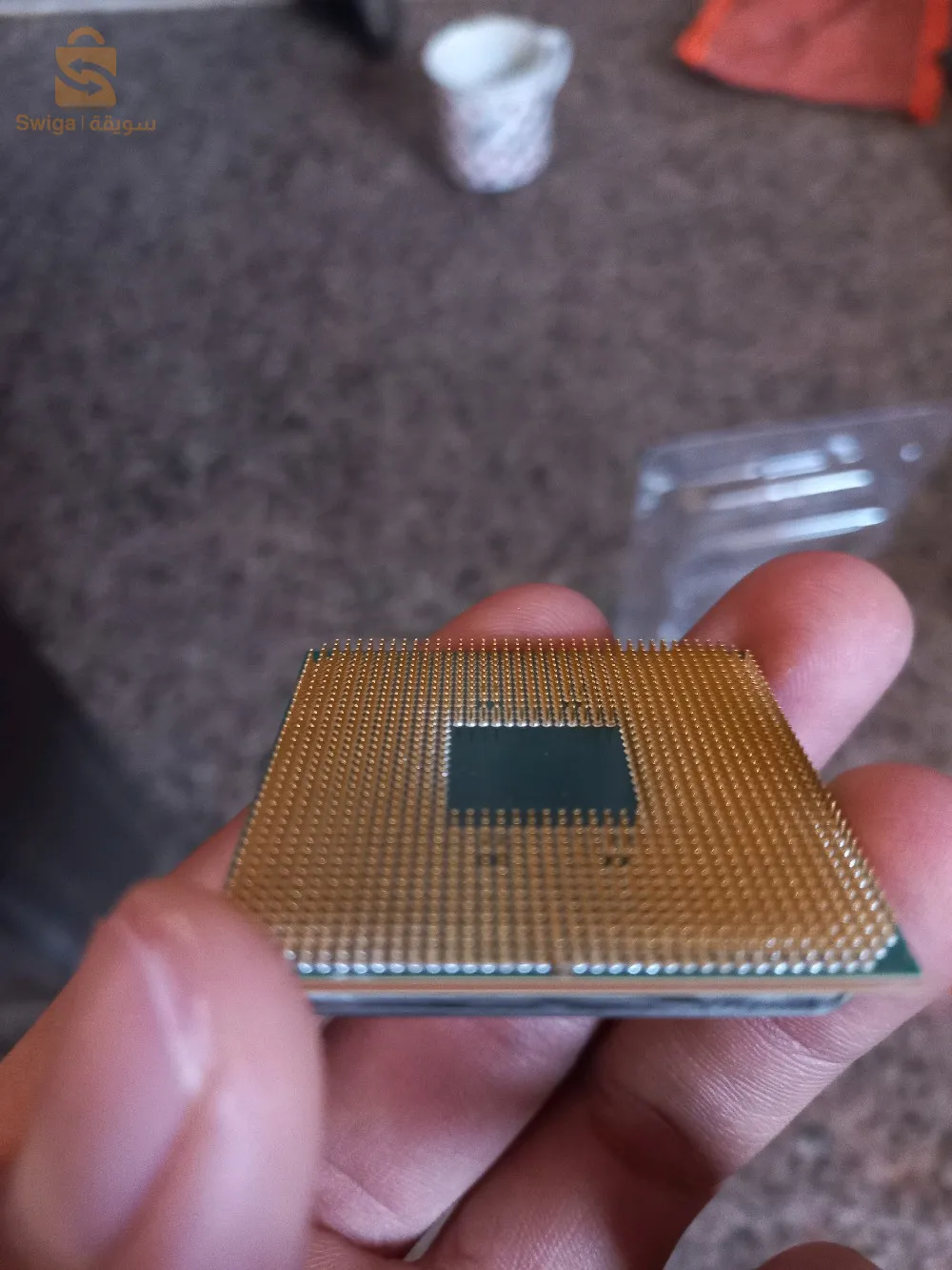 الجلفة_ حاسي بحبح