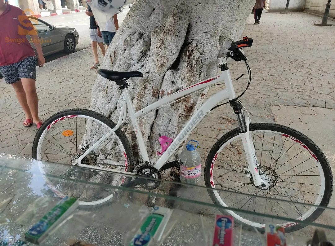 rochkrayder big R5.5