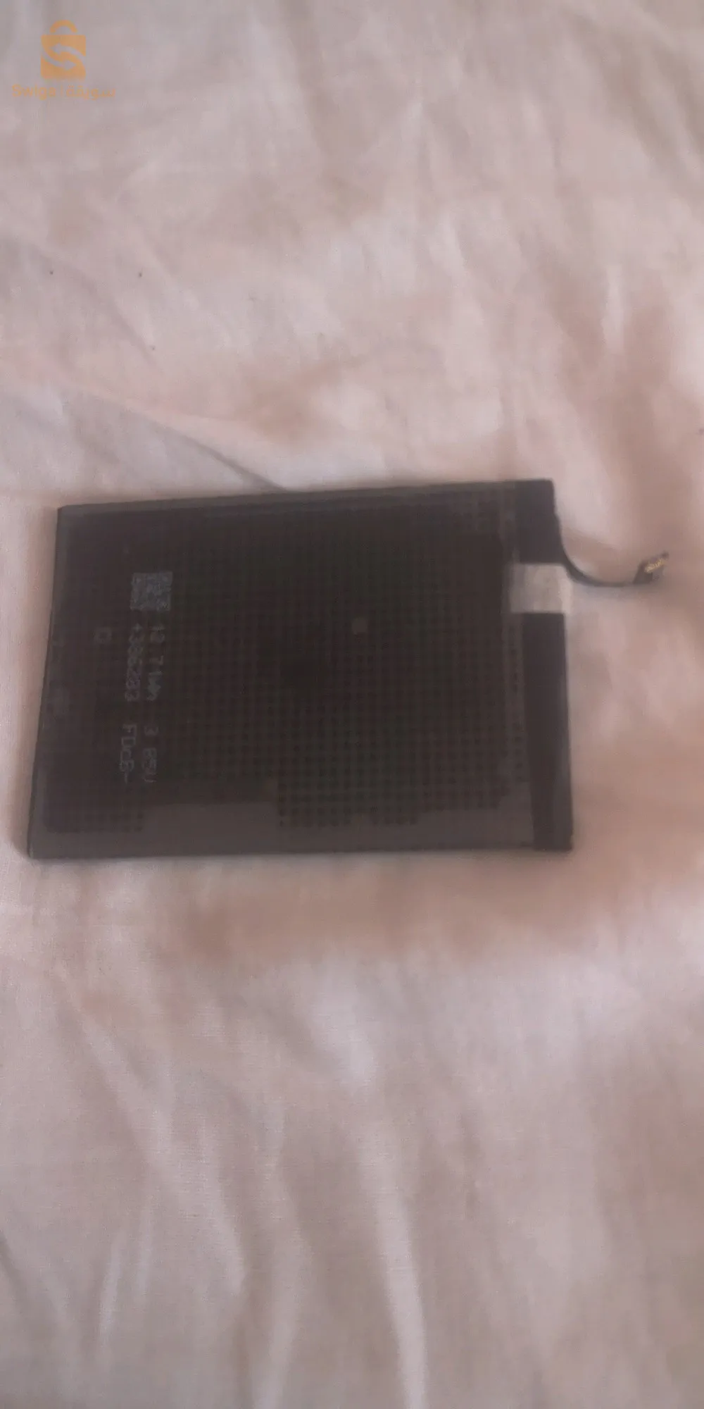 الجزائر ببرج البحري