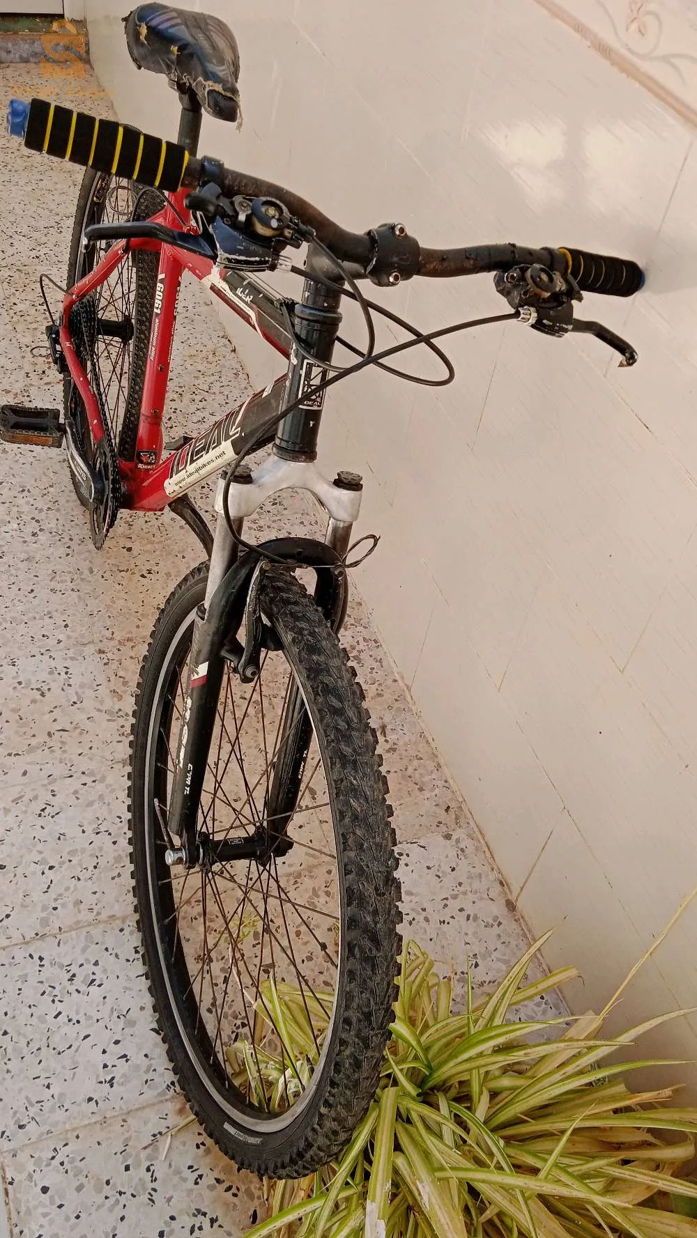 0673897946