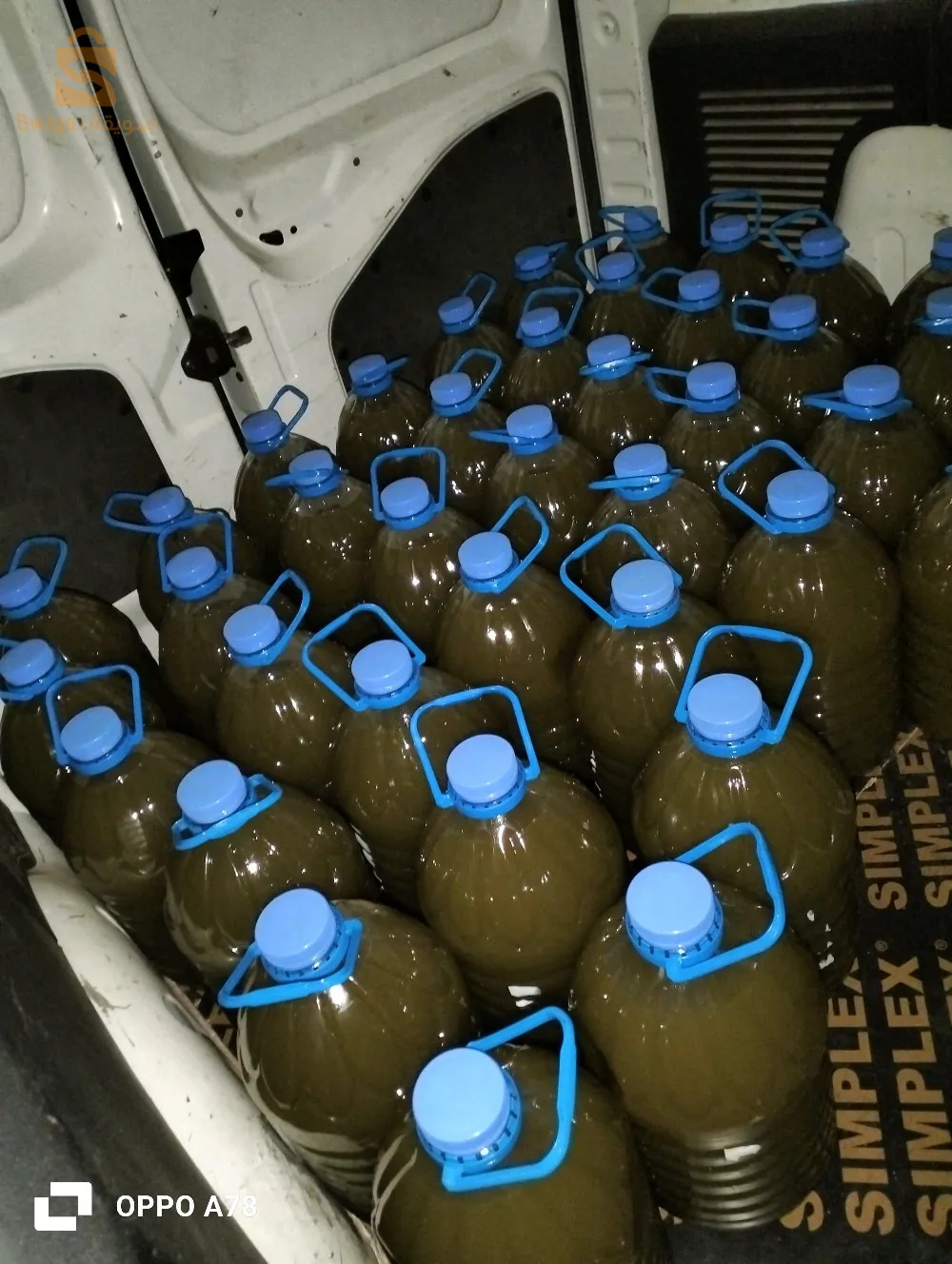 زيت زيتون من ولاية جيجل نوعية رفيعة