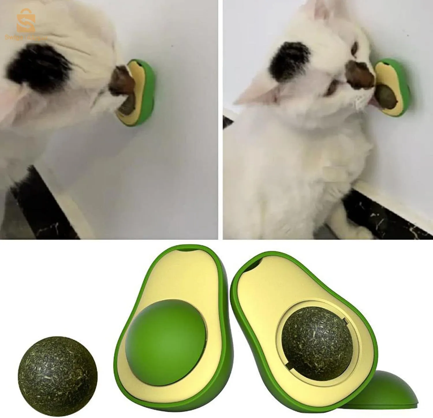 catnip avocado