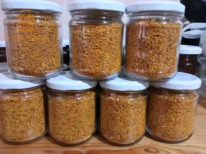 معسكر