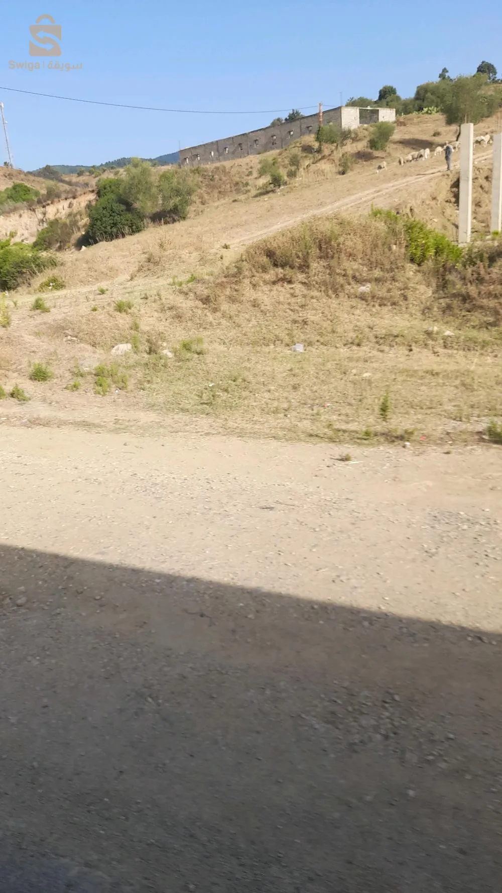 قطعة ارض للبيع في تمالوس بي الظبط لخميس