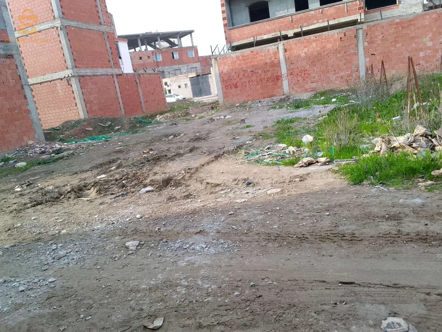 سيدي عباد2 تسالة المرجة