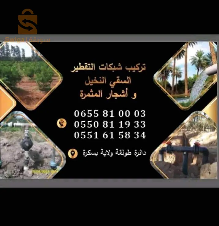 تركيب أربعة مليون للهكتار