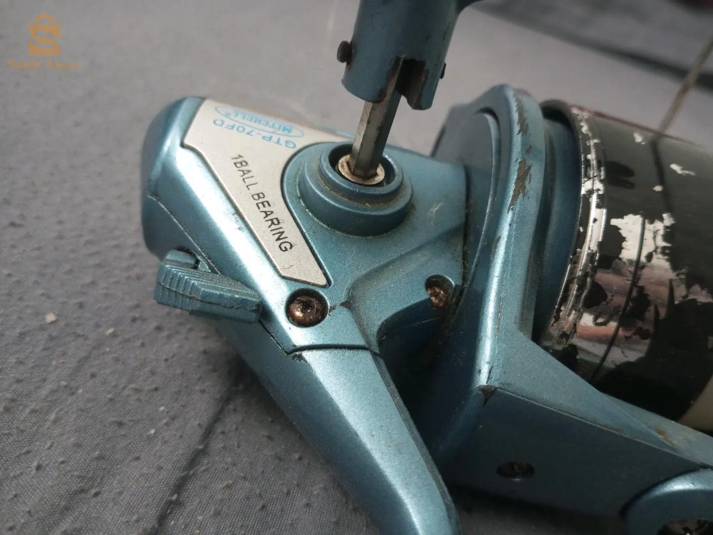 موليني ميتشال