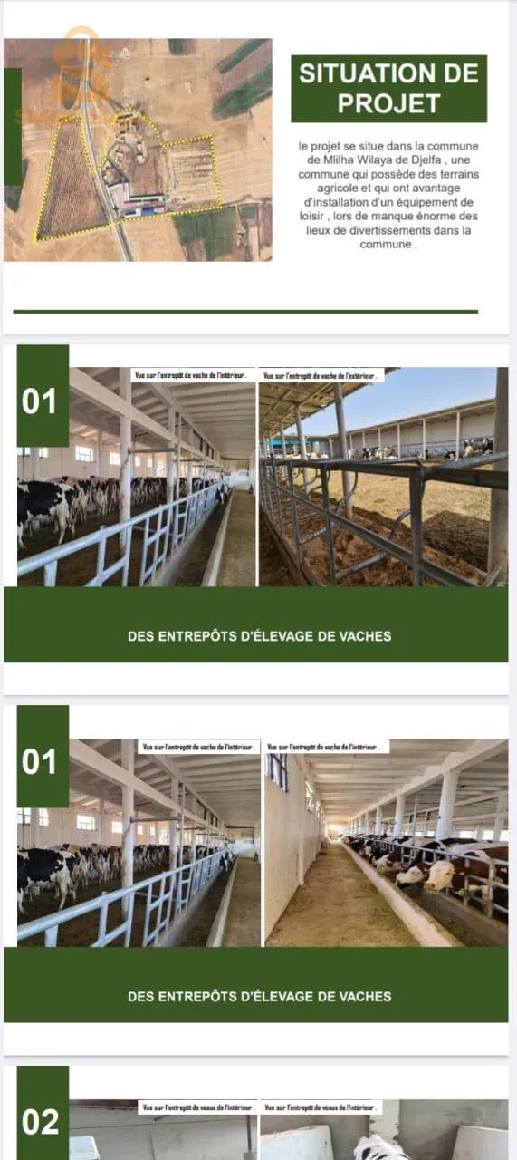 Ferme de production de lait