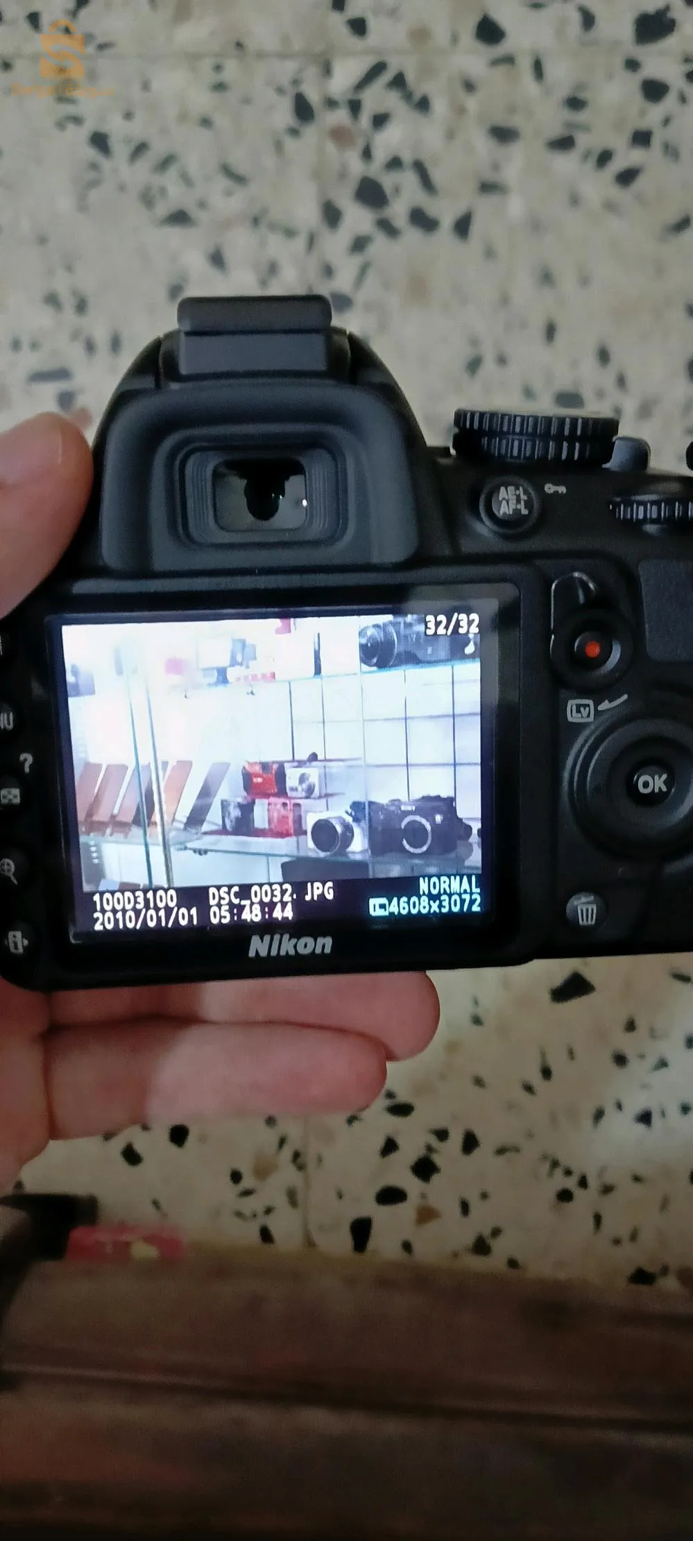 القصر الاحمر الكاليتوس
