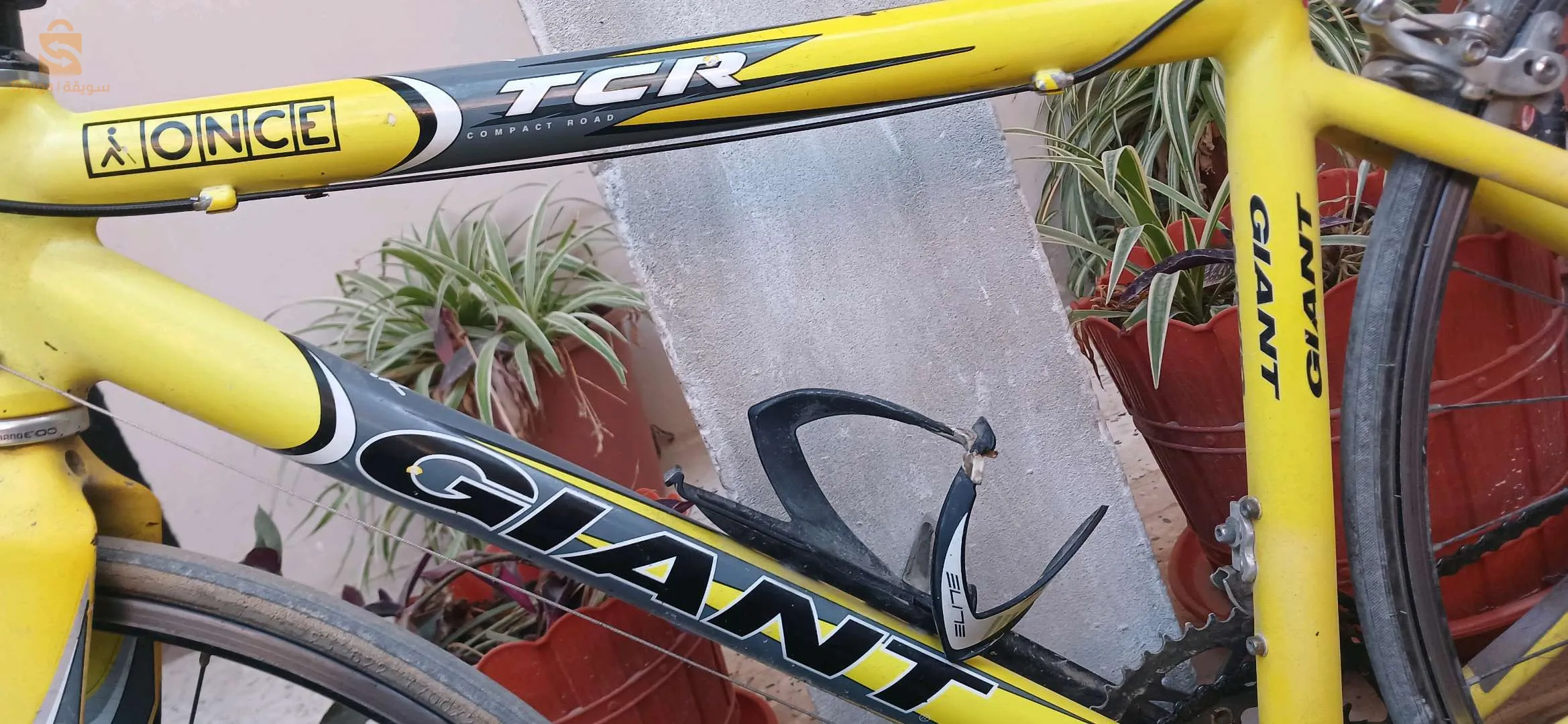 سيكليست هابطة من فرنسا