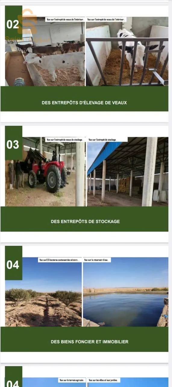 Ferme de production de lait