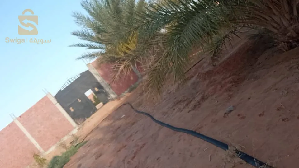 ورقلة عوينة موسى