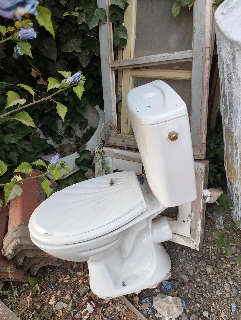 مرحاض انجليزي