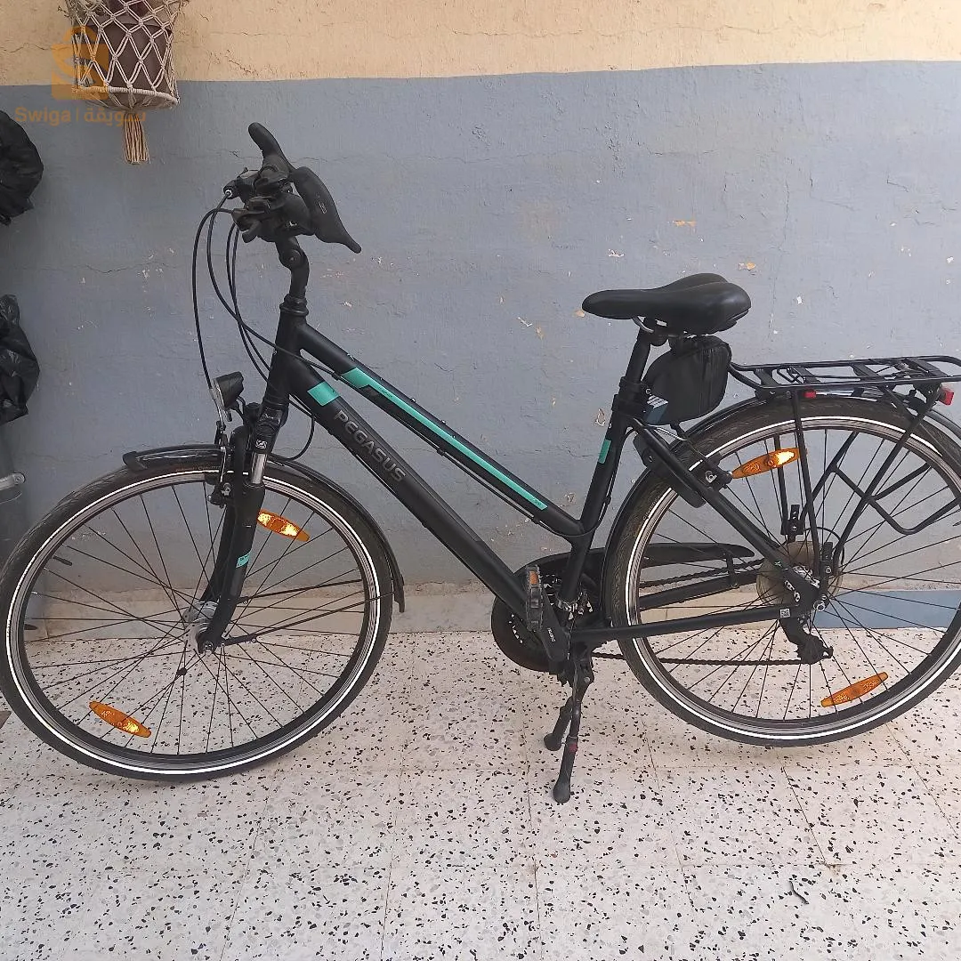 دراجة هوائية نوع Pegasus