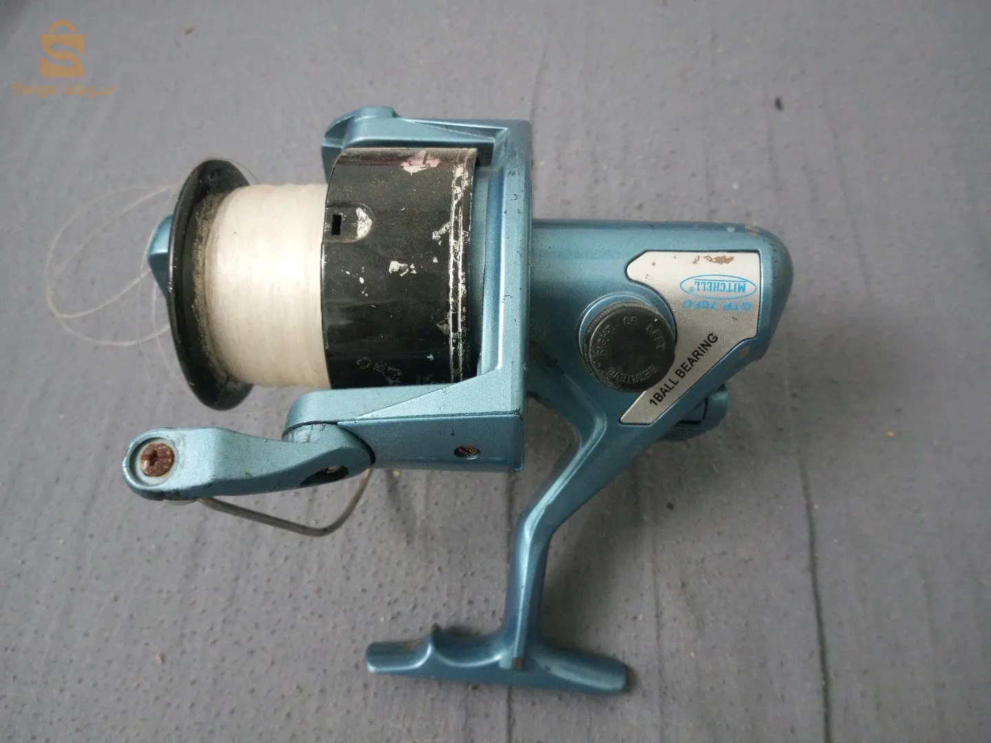 موليني ميتشال