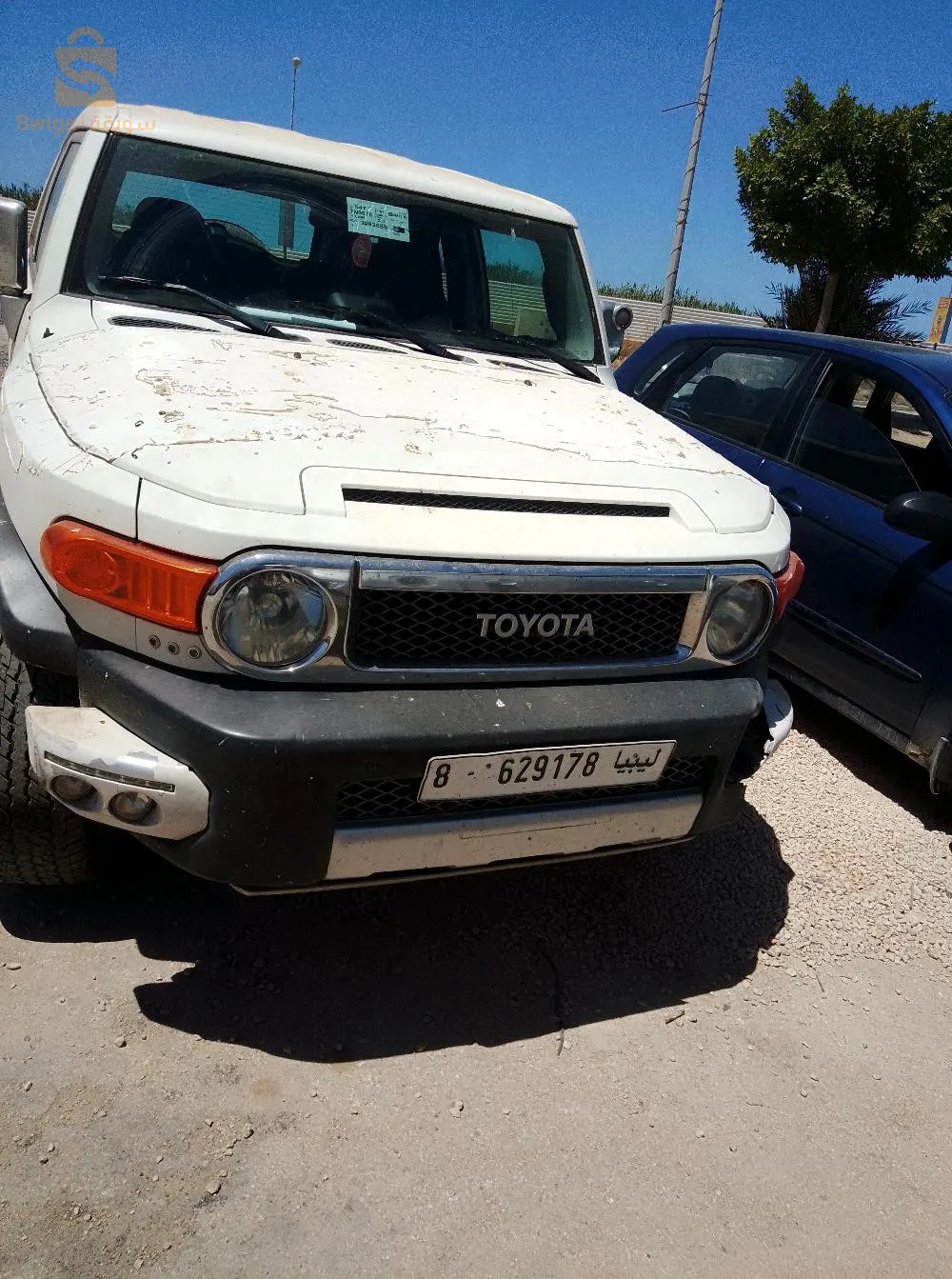 ابحث عن عمل مساعد toli