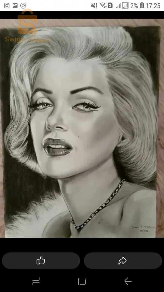 جميع الولايات