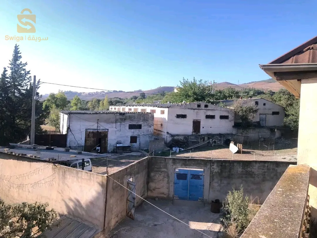 فيرما للبيع عقد ملكية