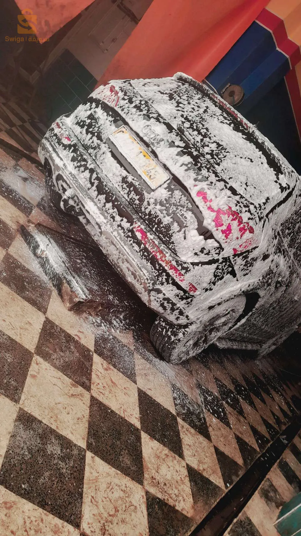 البيوض ولاية النعامة