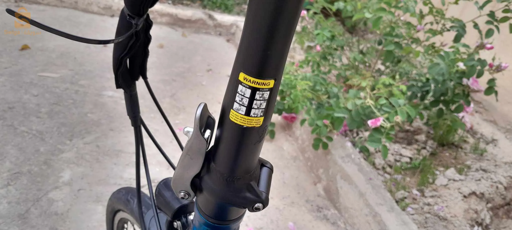 فيلو اليكتريك بصولحها دوريجين نقية مشاء الله