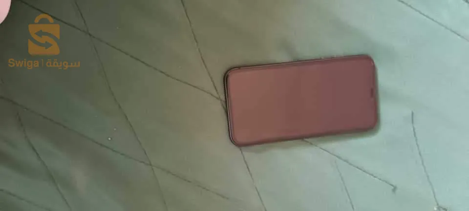 BaTri 100