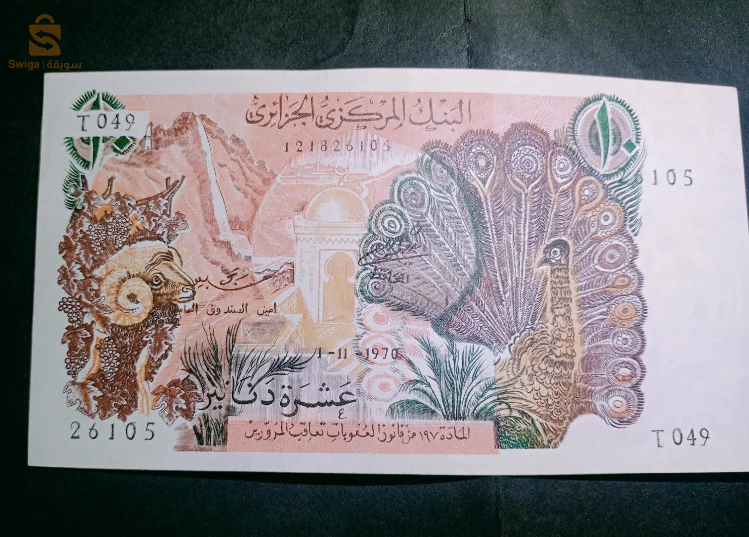 سوقر