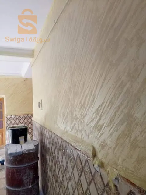 دهان محترف في فن الصباغة