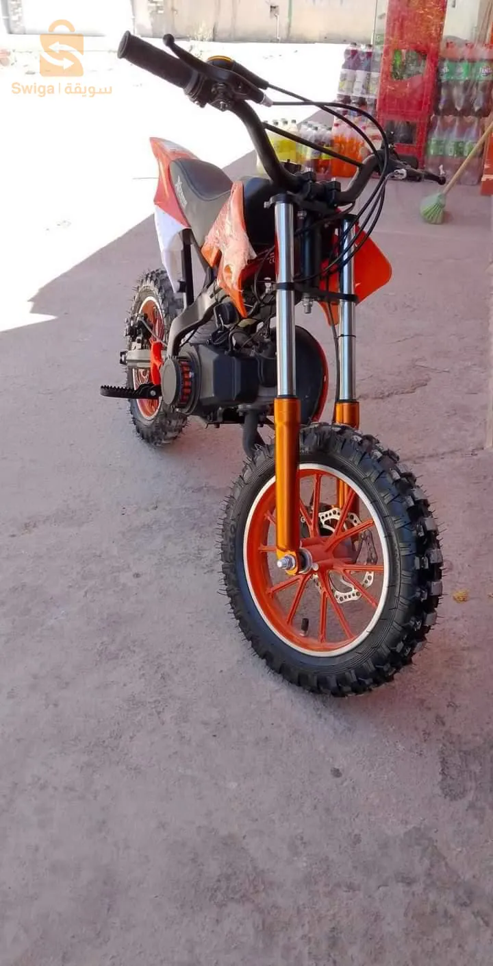 سكيكدة الزرامنة