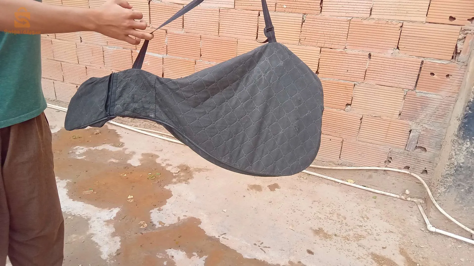 آلات موسيقية 🎼 🎶