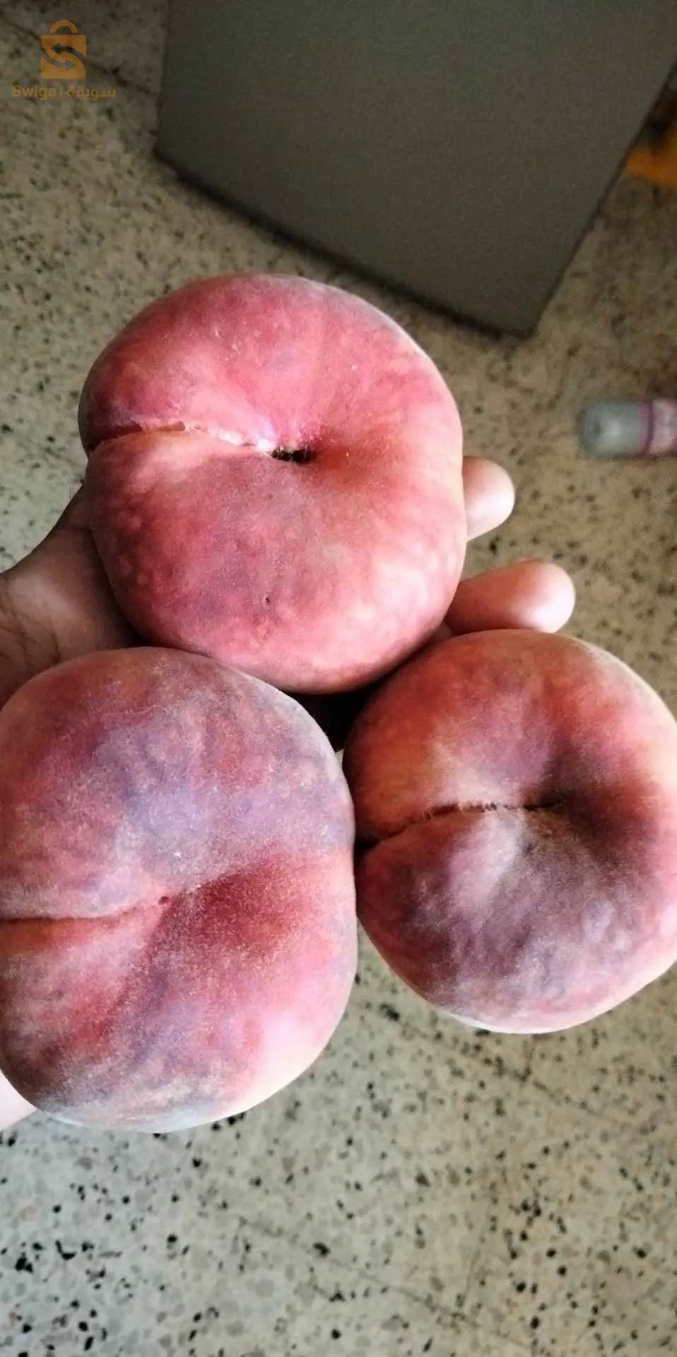 جميع اصناف خوخ ونكتارين