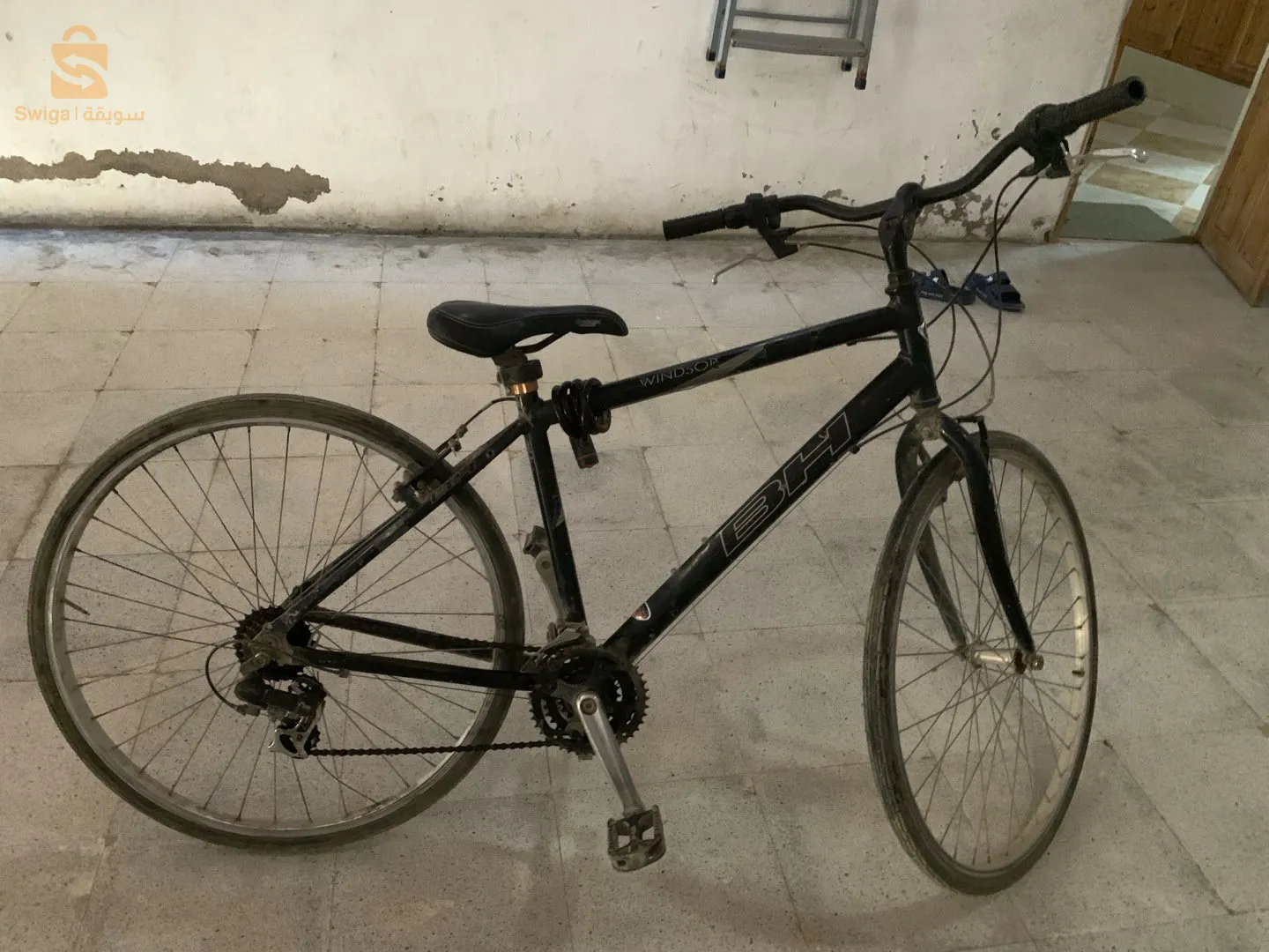 فيلو نقية بحالة جيدة جدا