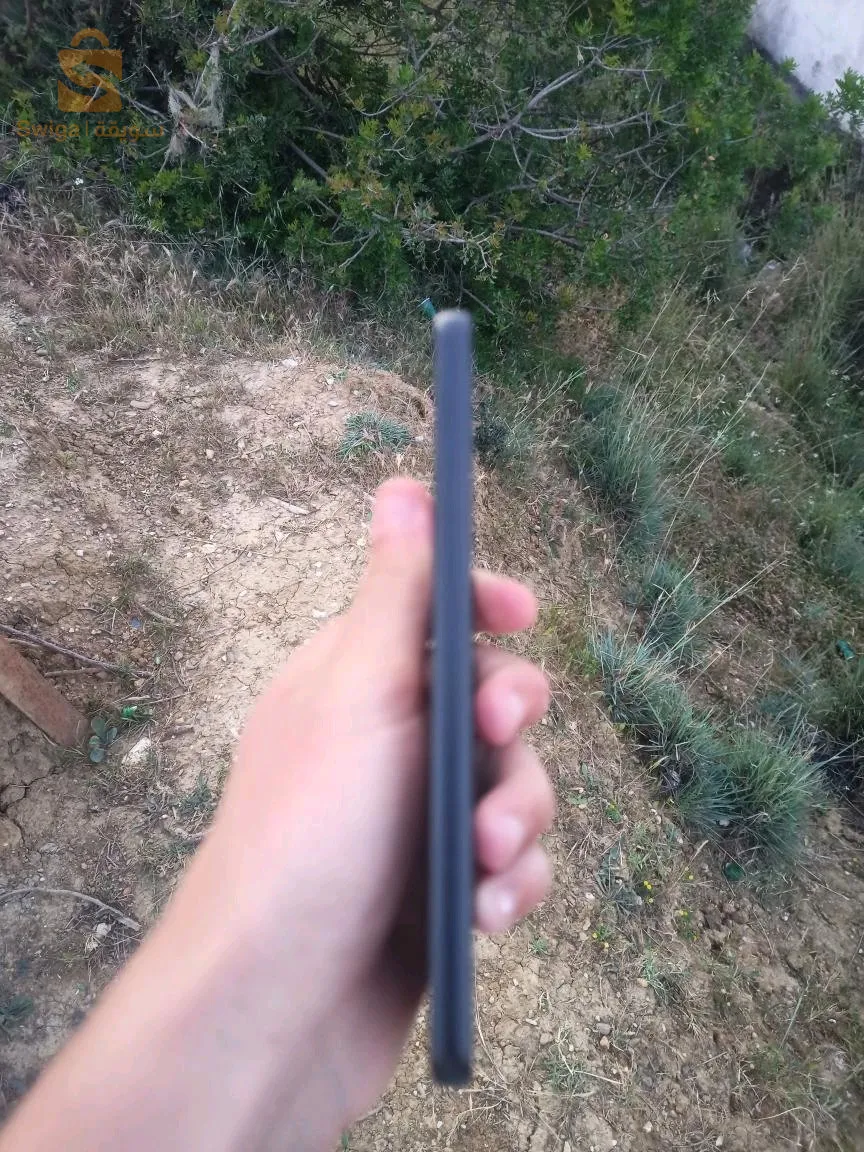 نبيع ولا نبرز