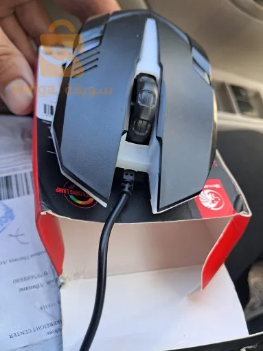 mouse skylion