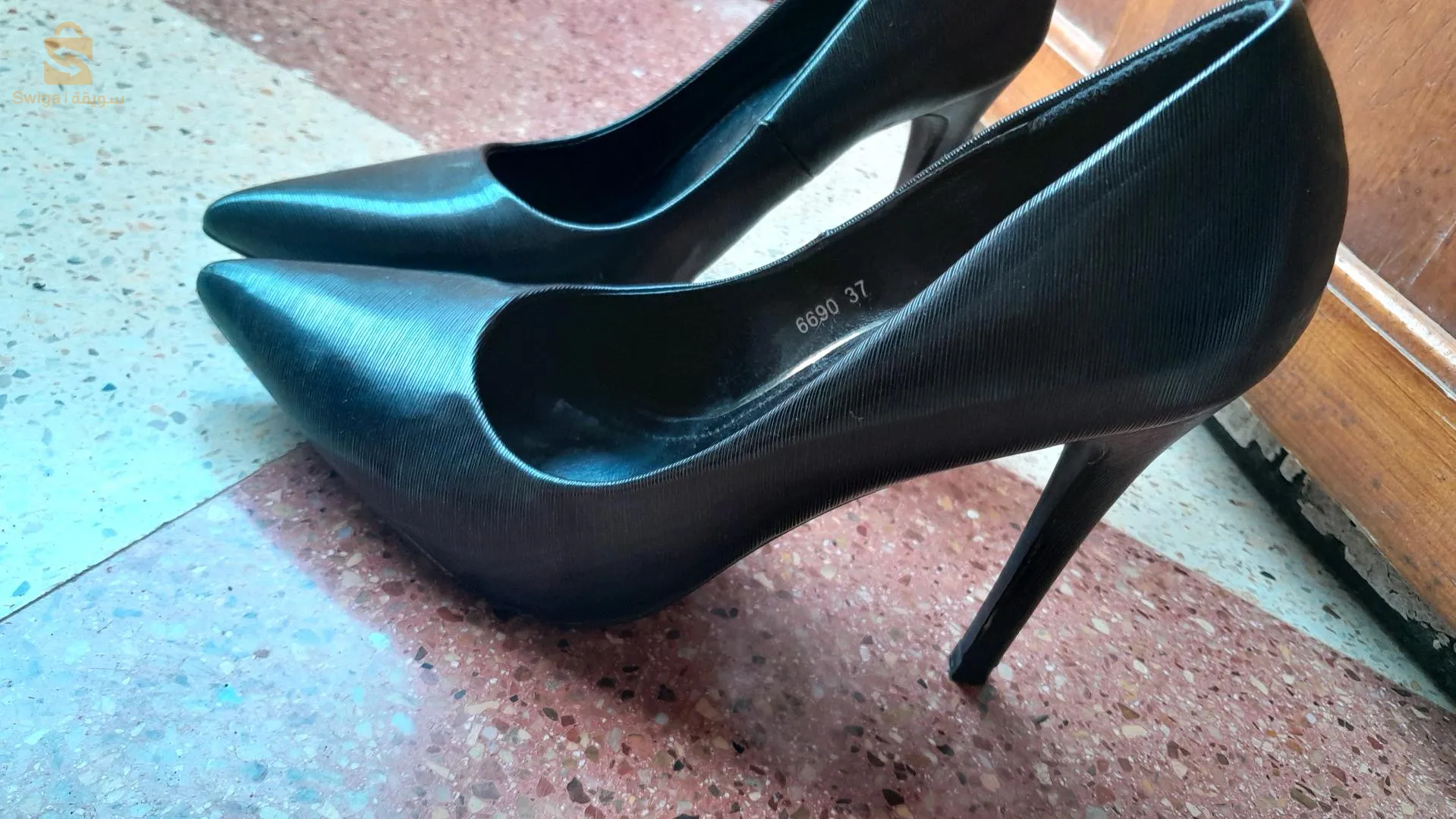 جزائر تيبازة