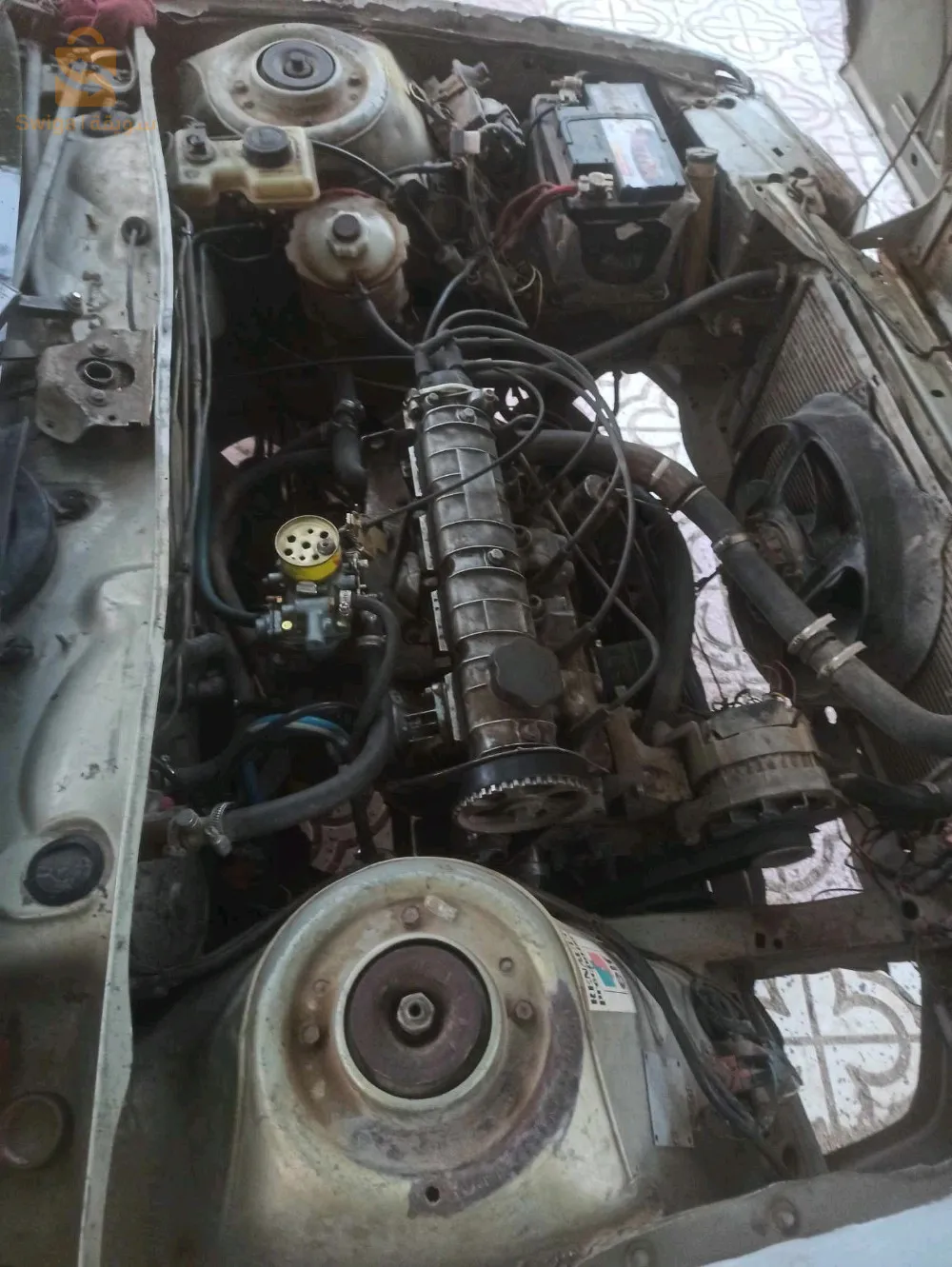 تمشي الله يبارك