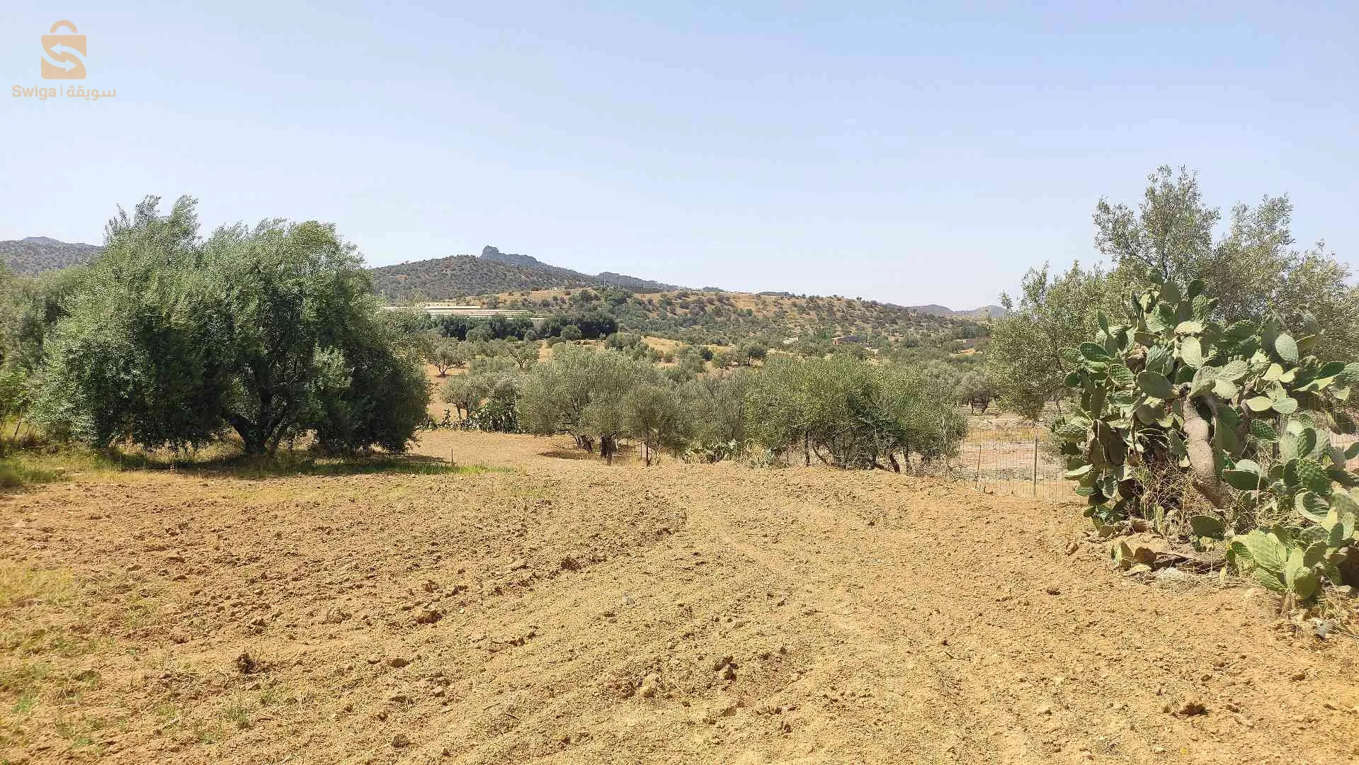 قطعة ارض للبيع مساحة 1600متر افتيس بوعزيز بلدية بوجليل ولاية بجاية الوثائق عقد ملكية فيها الغاز الكهرباء الماء منطقة سكانية