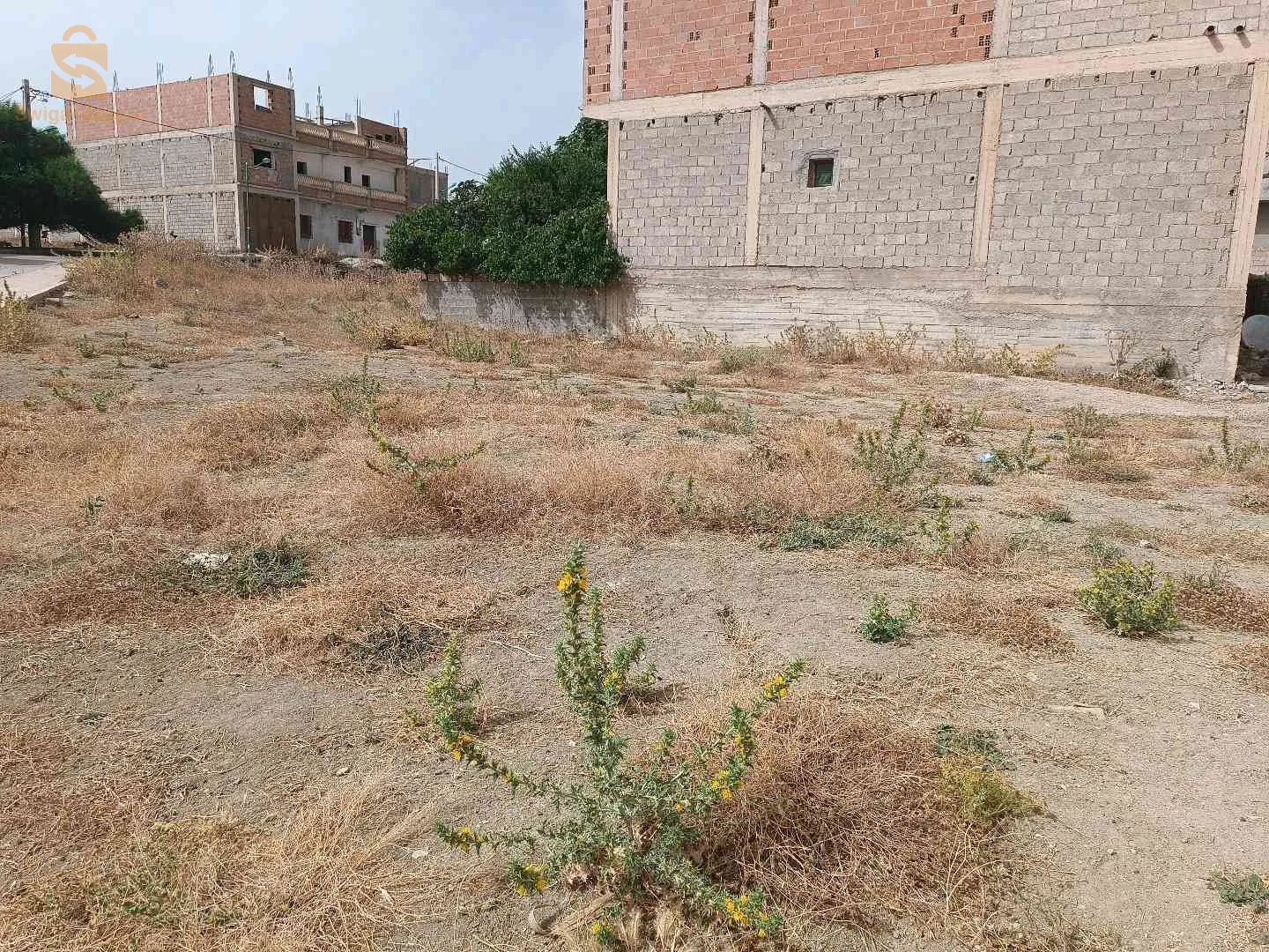 قطعة أرض للبيع بعقد نهائي
