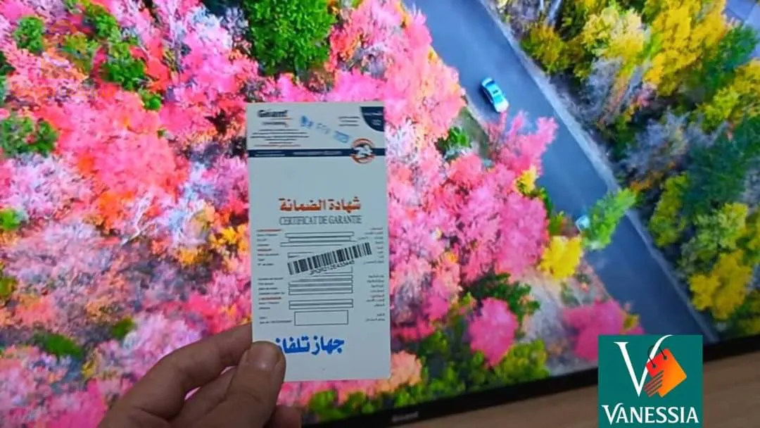 télévision marque geant 43p