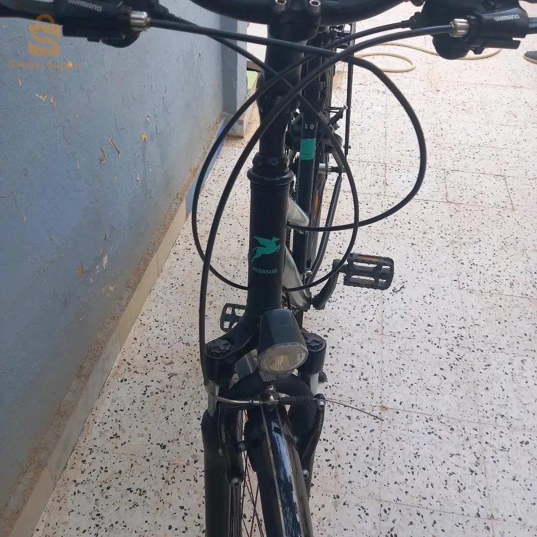 دراجة هوائية نوع Pegasus